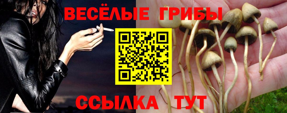 Псилоцибиновые грибы ЛСД  Псилоцибиновые грибы ЛСД  наркотики  Шали  Вход с VPN 